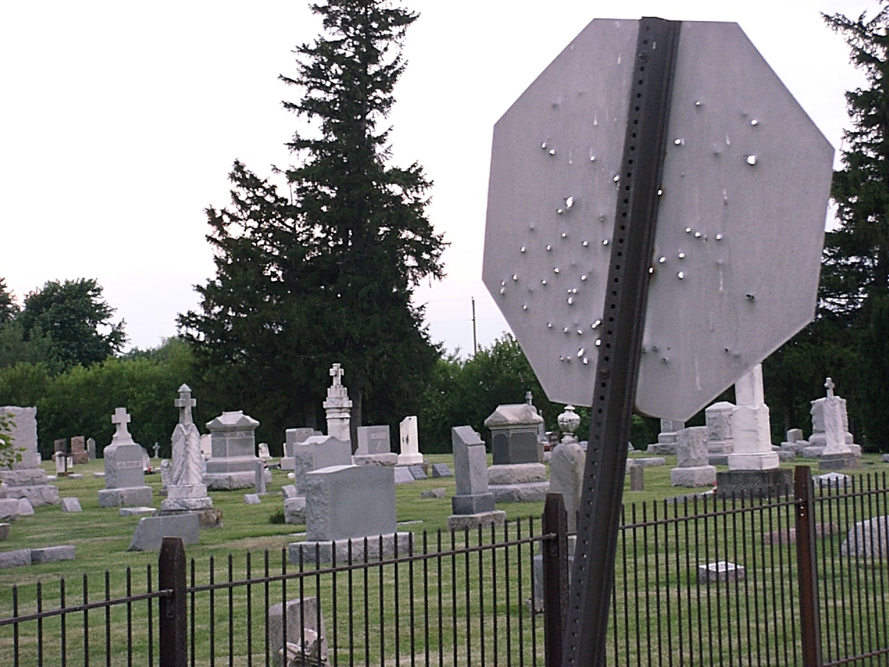 Stopping Violence isn't easy... photo by Thomas Peace 2013