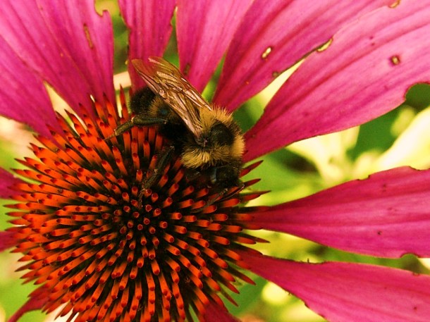 Well, you know... by Thomas Peace 2013