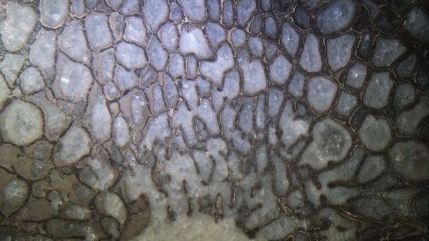 Allosaurus Vertebra (4) by Thomas Peace c.2013