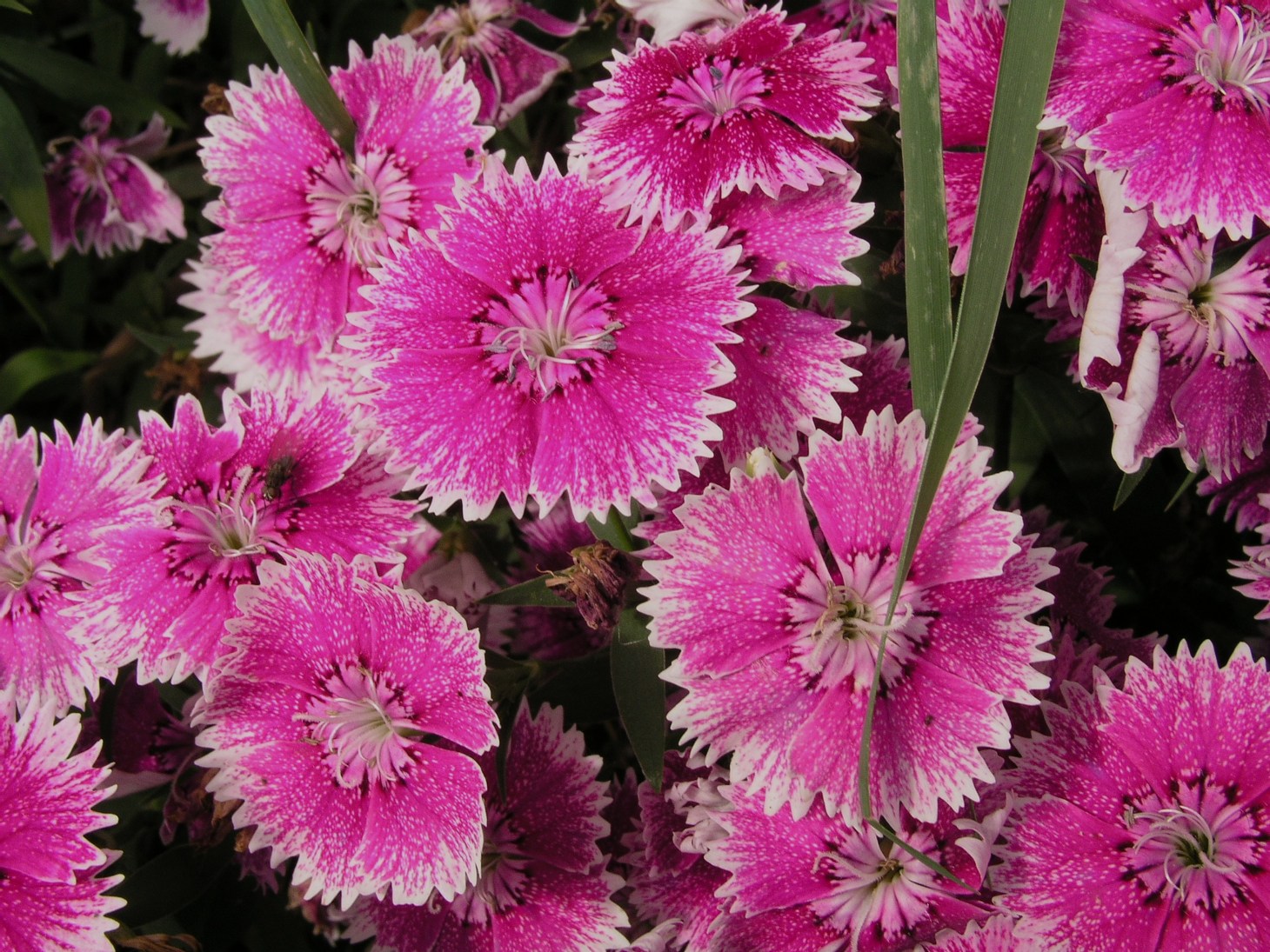 "Beyond Labels" photo by Thomas Peace