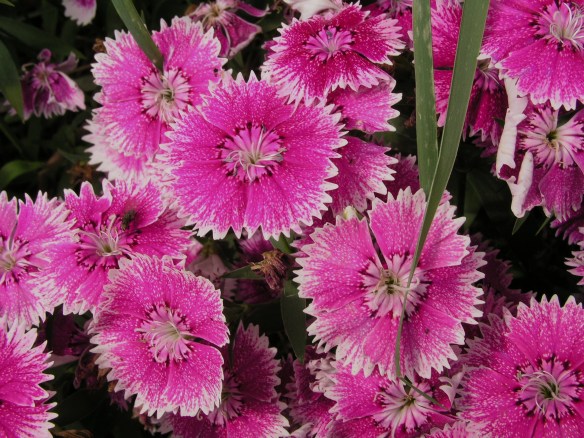 "Beyond Labels" photo by Thomas Peace