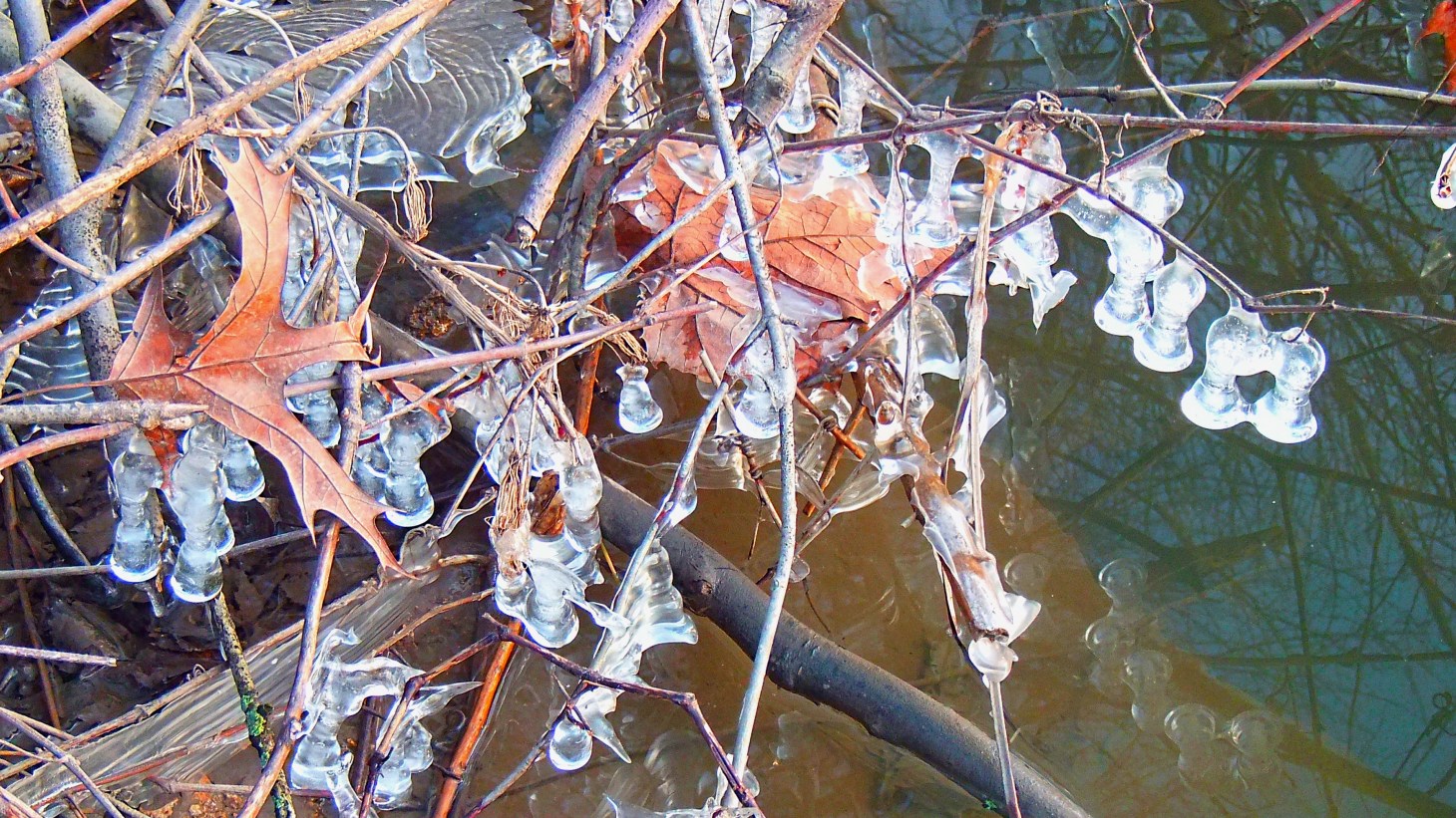 Frozen in Time (2) by Thomas Peace 2013