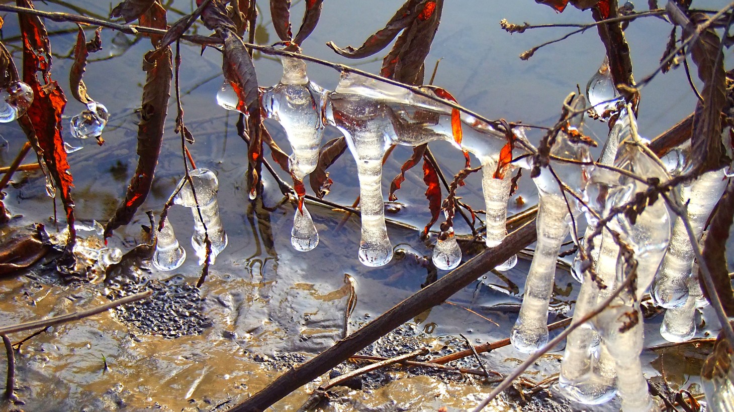 Frozen in Time (3) by Thomas Peace 2013