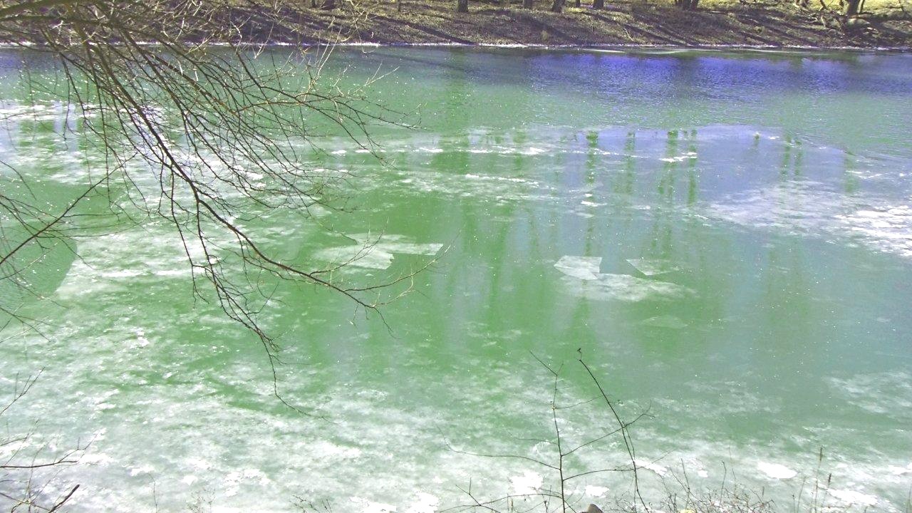 Ice on River (1) by Thomas Peace 2013