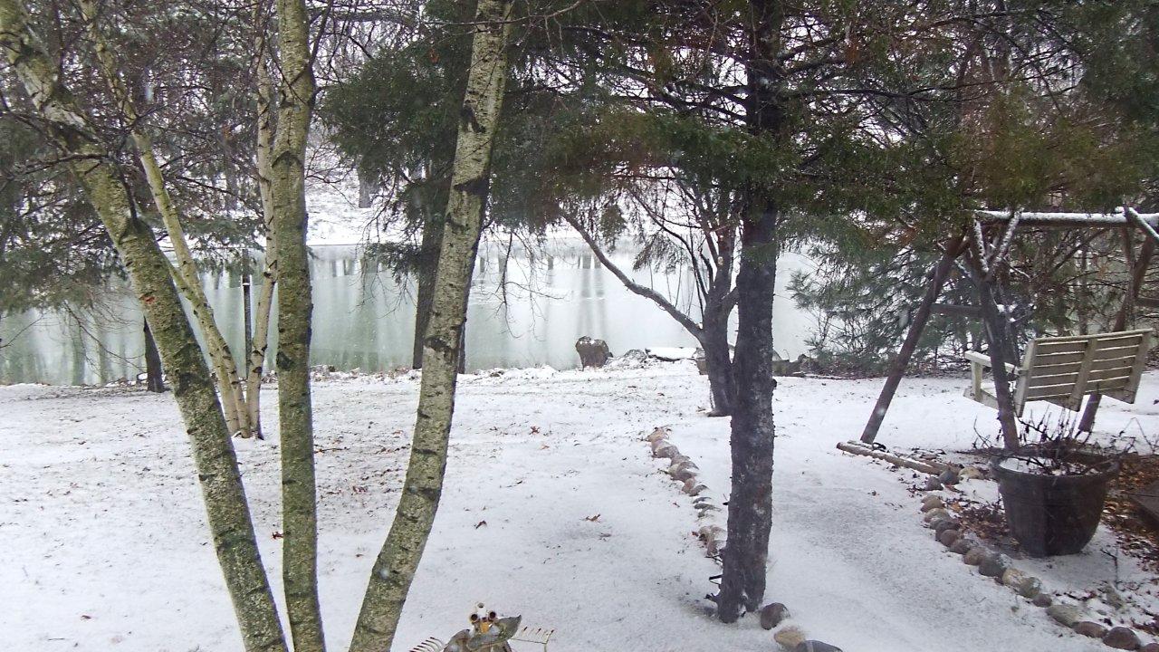 Winter Snowfall (2) by Thomas Peace 2013