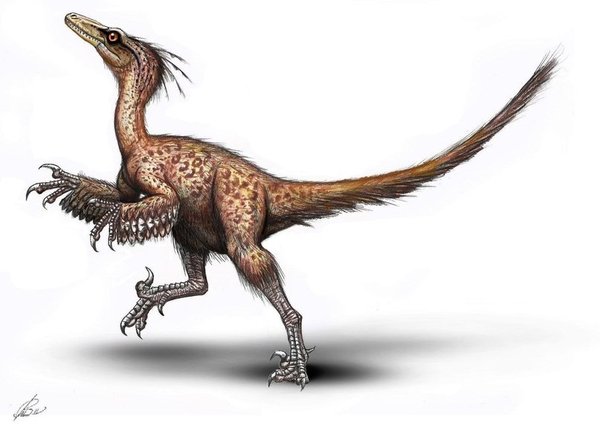 Image of Troodon, by MALvit of Deviant Art...
