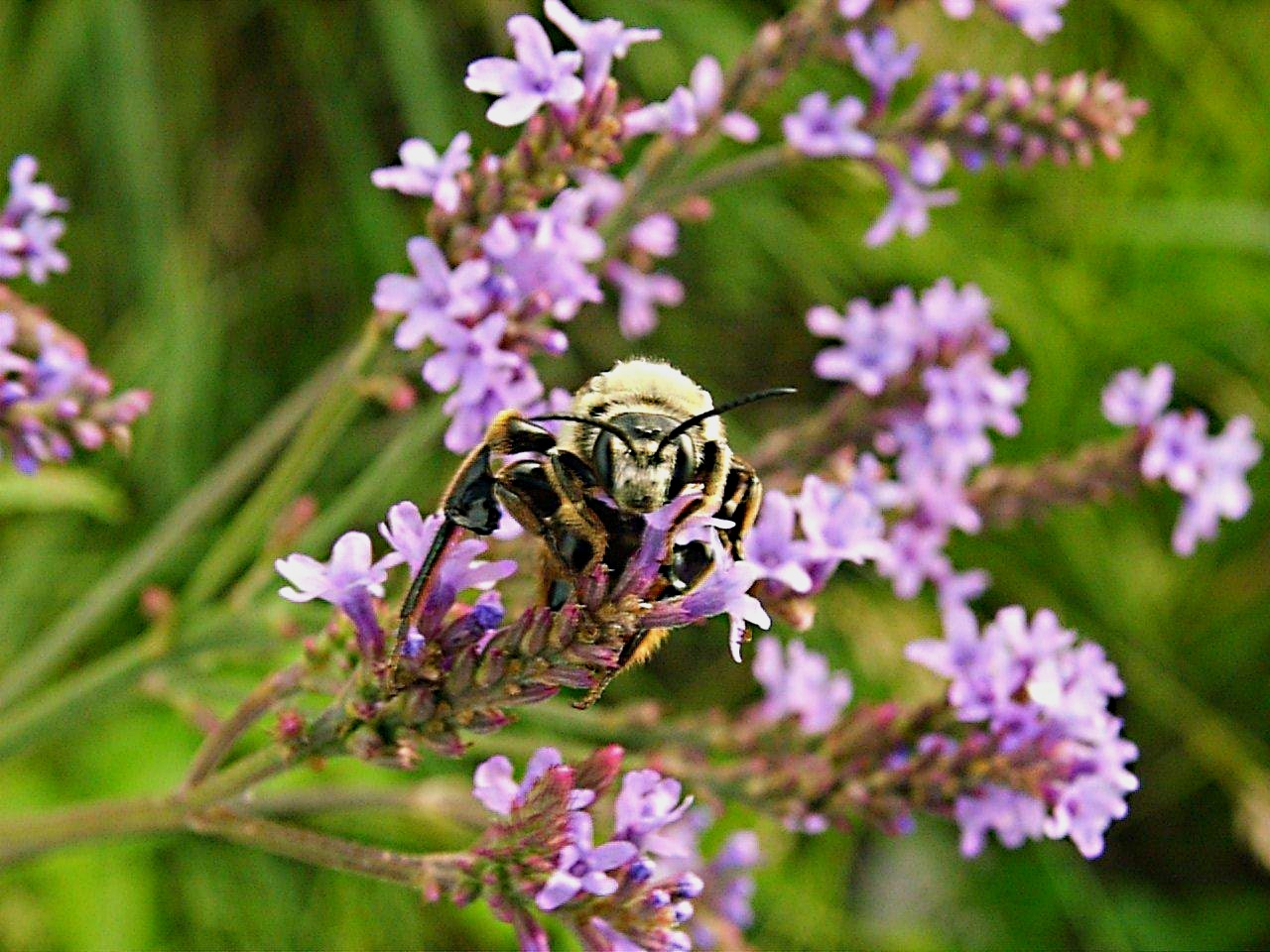 Mutual Perceptions by Thomas Peace 2013