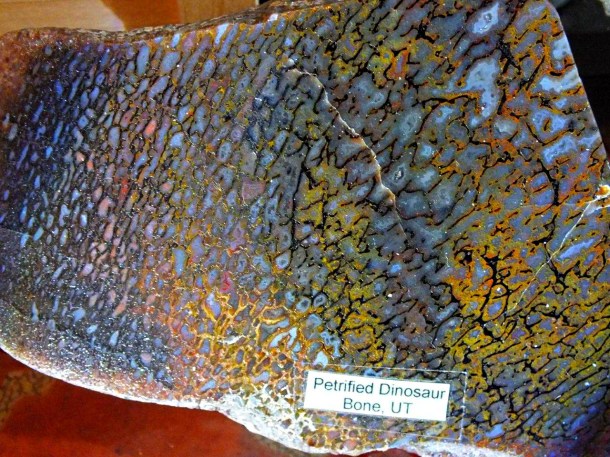 Polished Dinosaur Bone (3) by Thomas Peace 2013