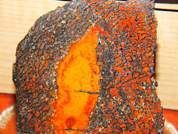 Polished Dinosaur Bone (1) by Thomas Peace 2013