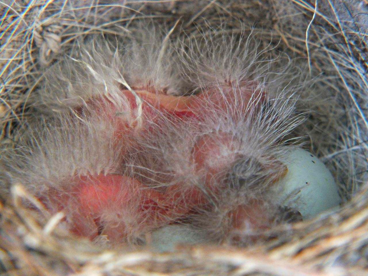 The future is the past... by Thomas Peace 2013