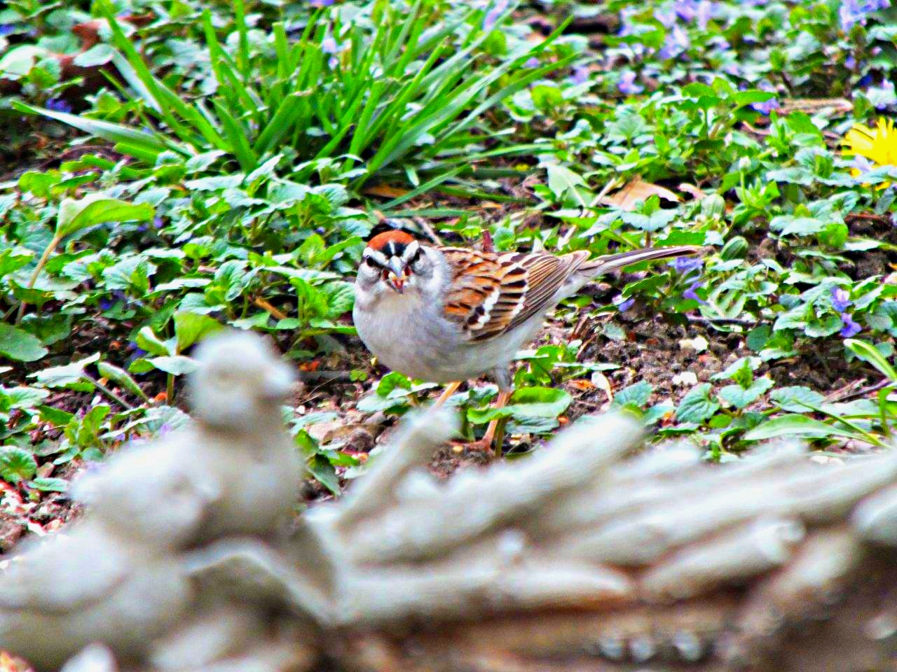 Death is near, Life is beyond... by Thomas Peace 2013