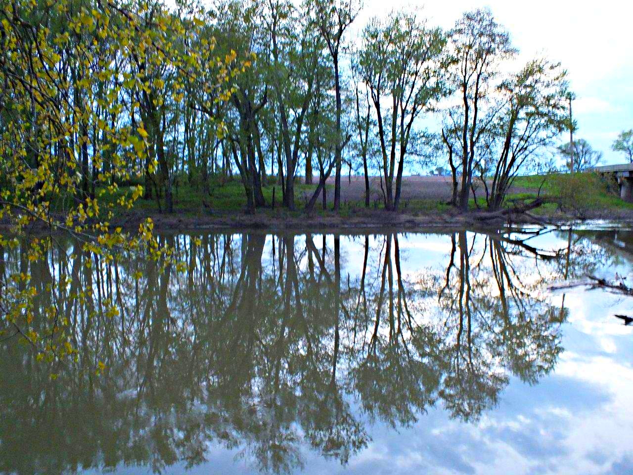 Stillness... by Thomas Peace 2013