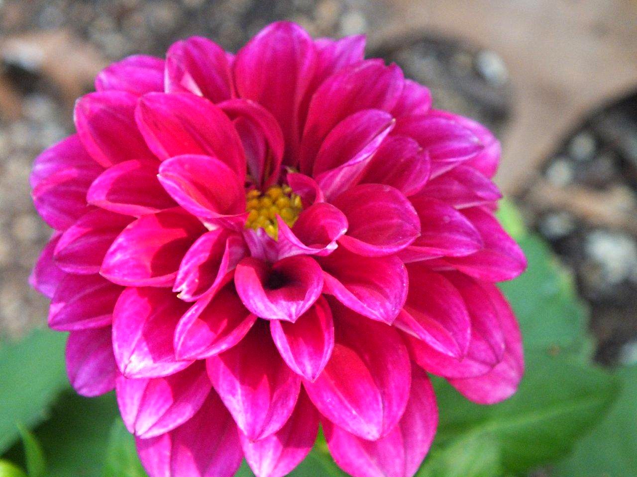 Priceless... by Thomas Peace 2013