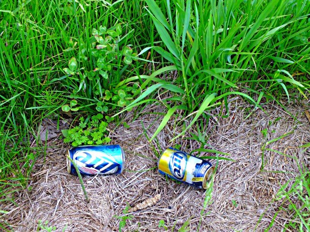 Signs of primitive life (just like they were found while taking nature photos...) by Thomas Peace 2013