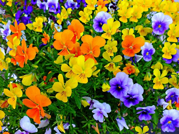 In the daylight... by Thomas Peace 2013