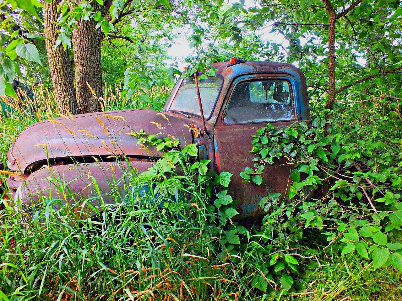 Meter Expired... by Thomas Peace 2013