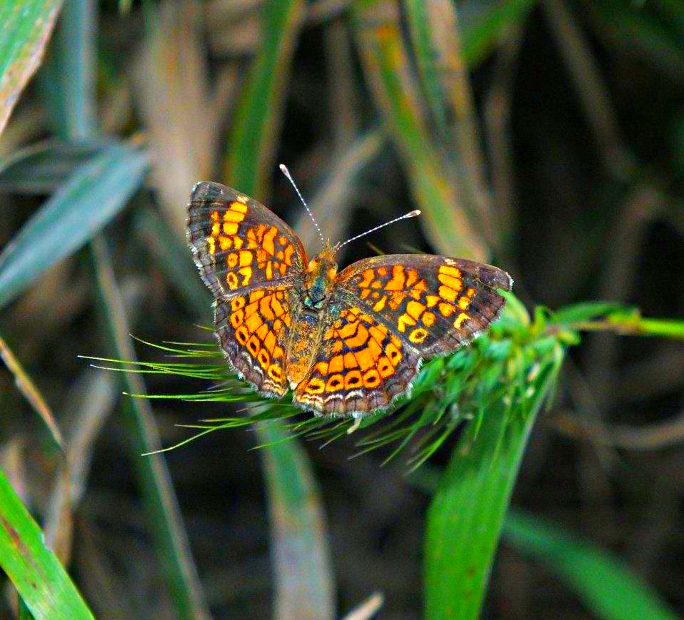 Transcending the low depressions... by Thomas Peace 2013