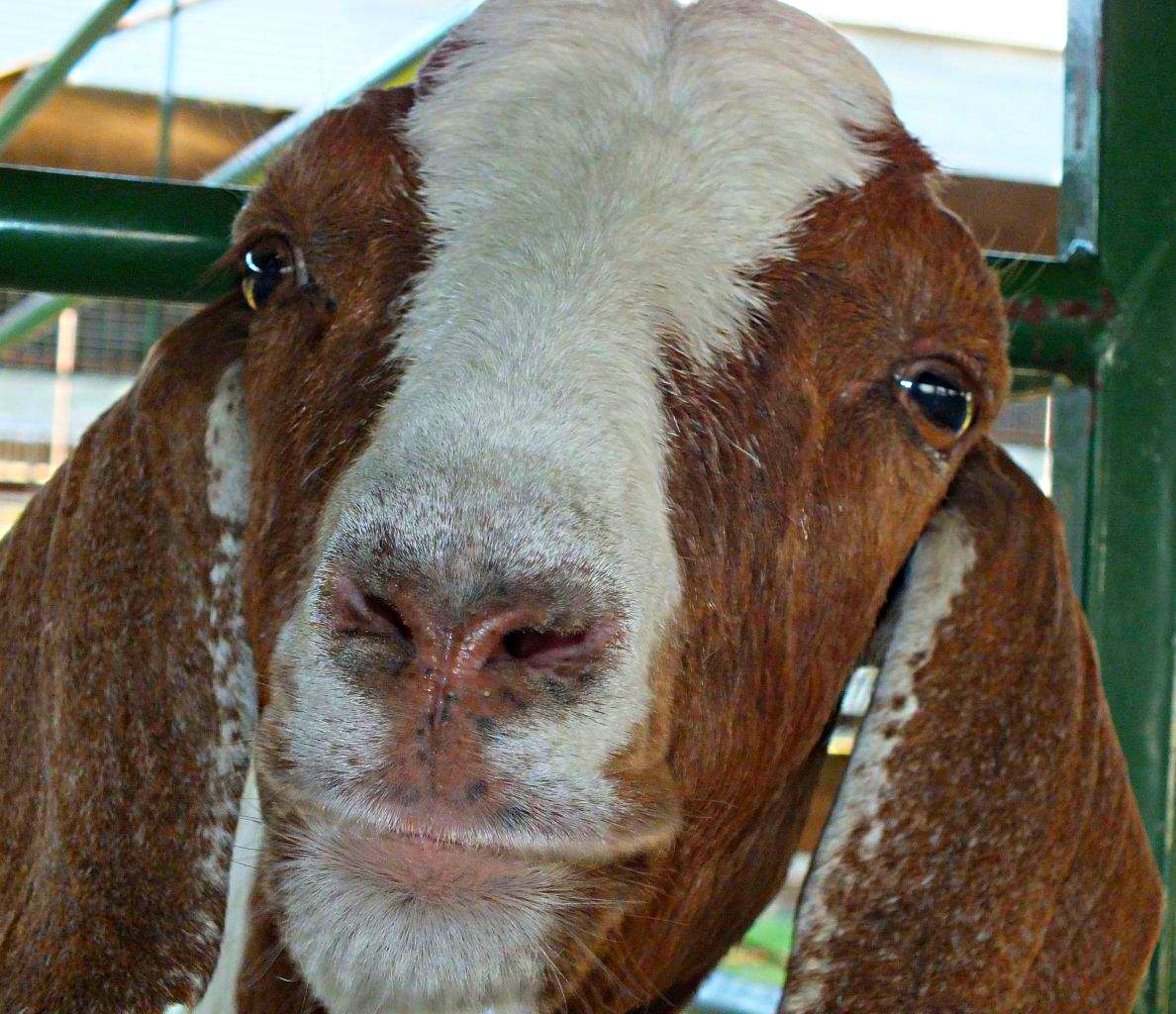 Beyond superficial labels... photo by Thomas Peace 2014