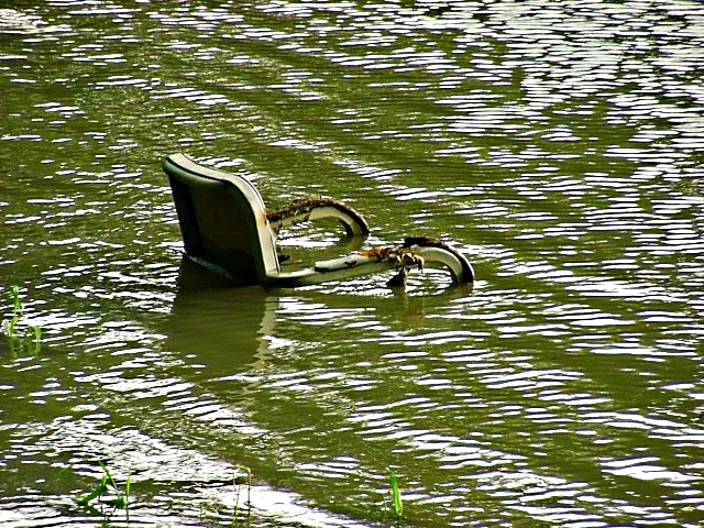 They say that location is everything!  .... Photo by Thomas Peace 2014