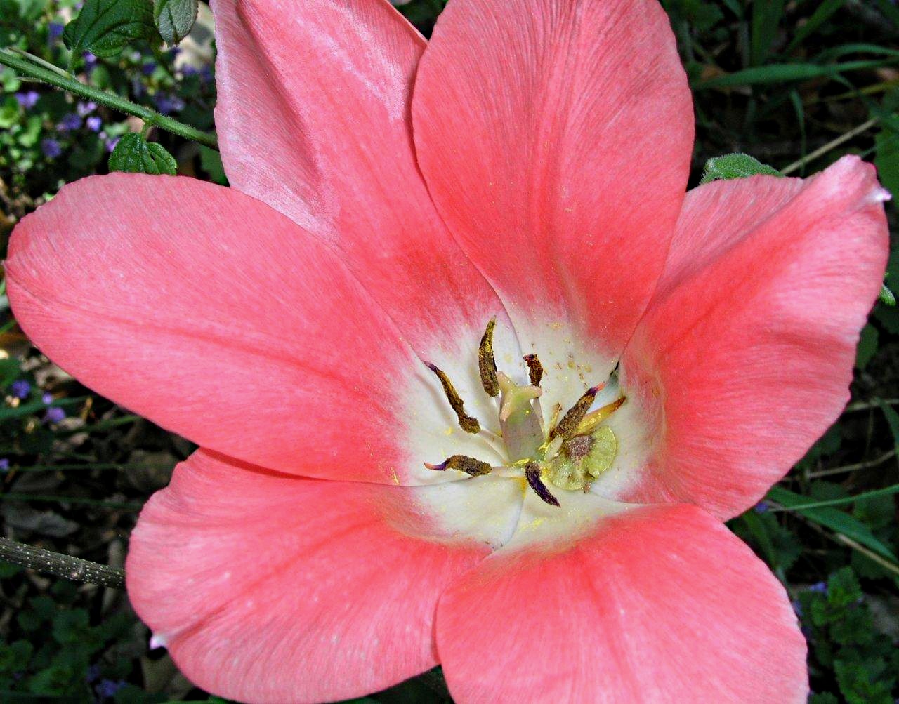 Open wide, far beyond common, limited awareness! ... photo by Thomas Peace 2014