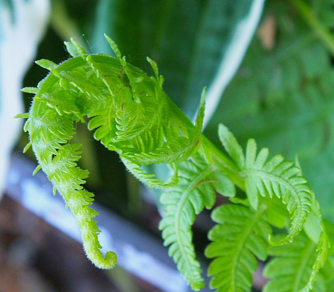 What U C is What U R! Photo by Thomas Peace 2014