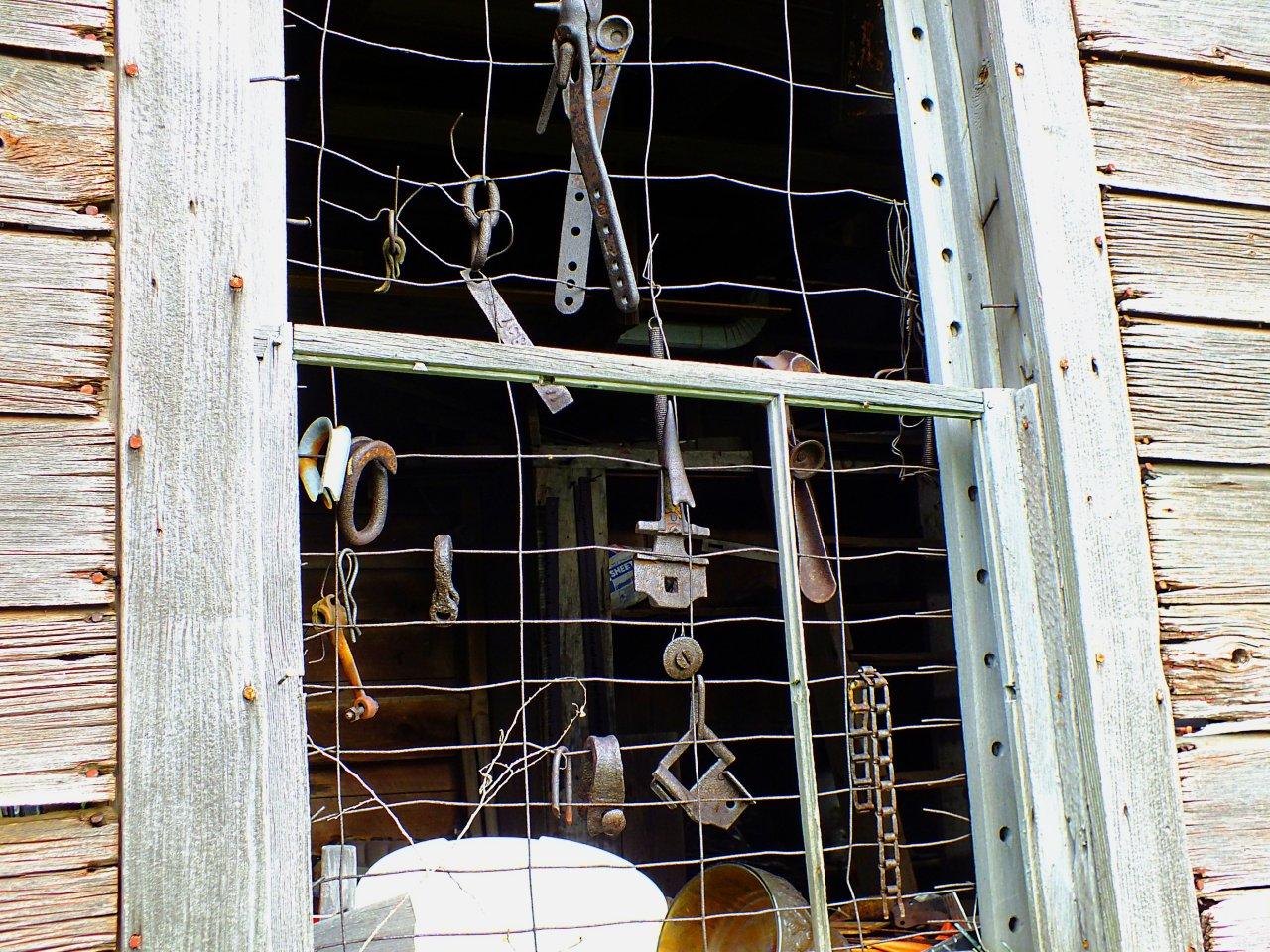 Macro-photo of the Human Neural Network.              And, as Elmer Fudd says:  "Finawee, here's scientific pruuf dat humans are wey smarter den doze krazy wabbits and all doze udder animals!"  Photo by Thomas Peace 2014