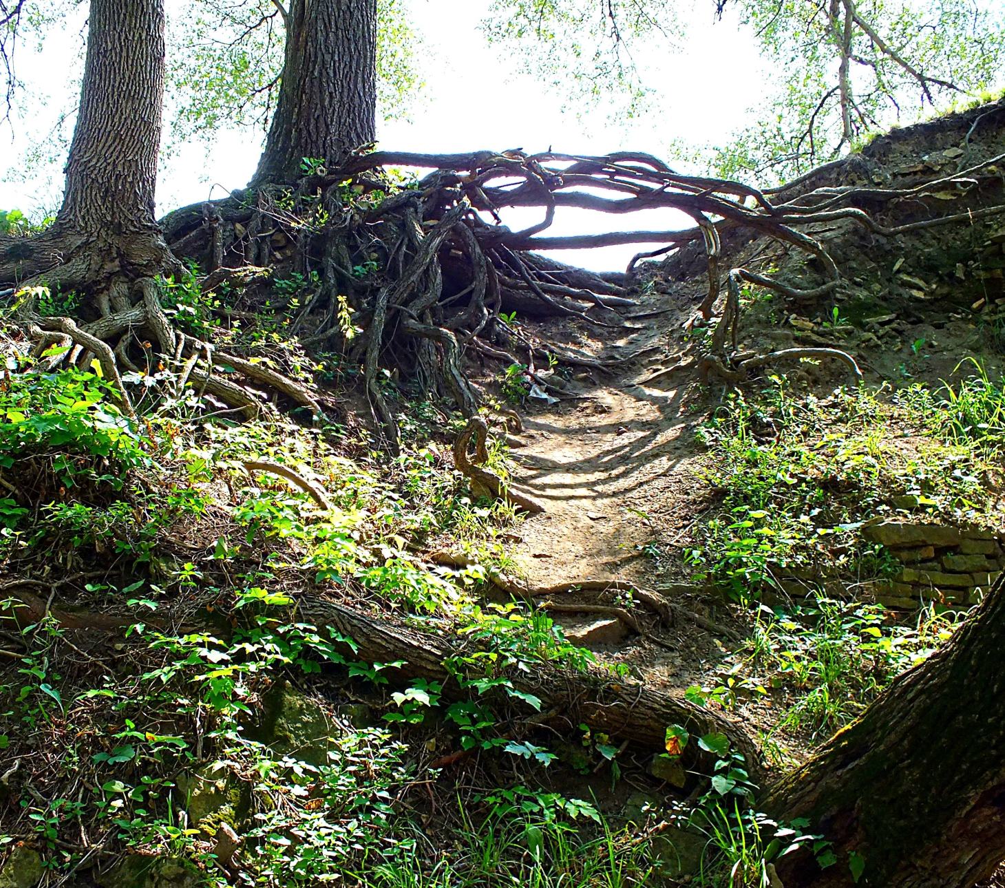 Let's take the overpass!  Photo by Thomas Peace 2014