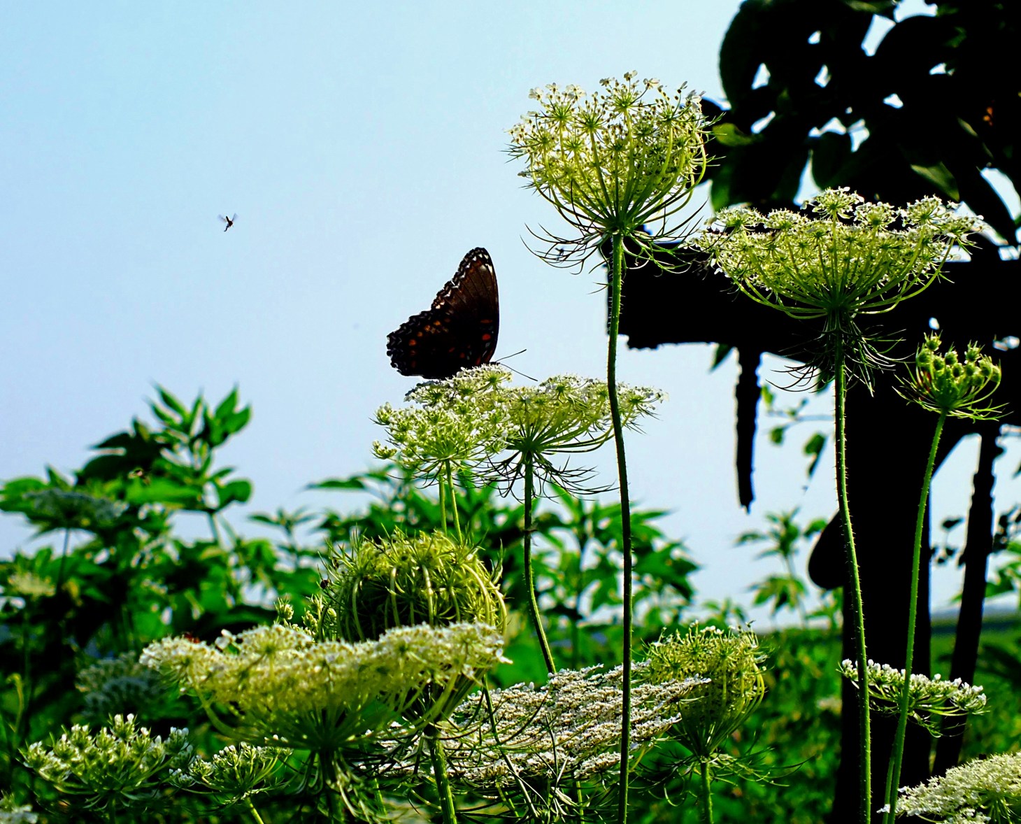Don't neglect the real beauty in life! Photo by Thomas Peace 2014