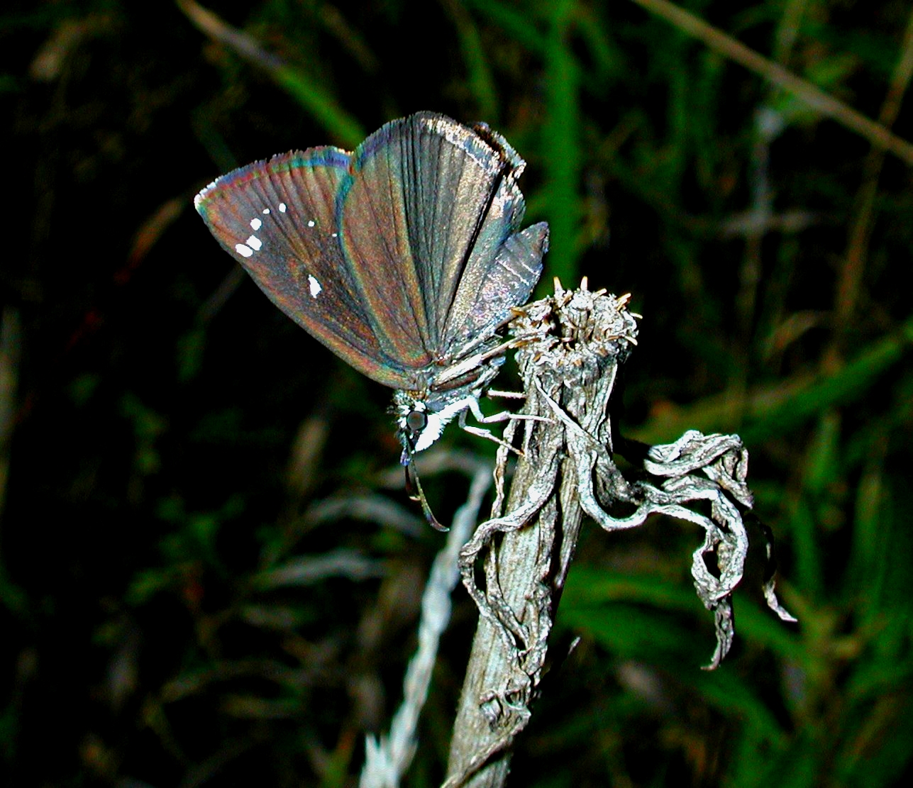 Favorite resting place. Photo by Thomas Peace 2014