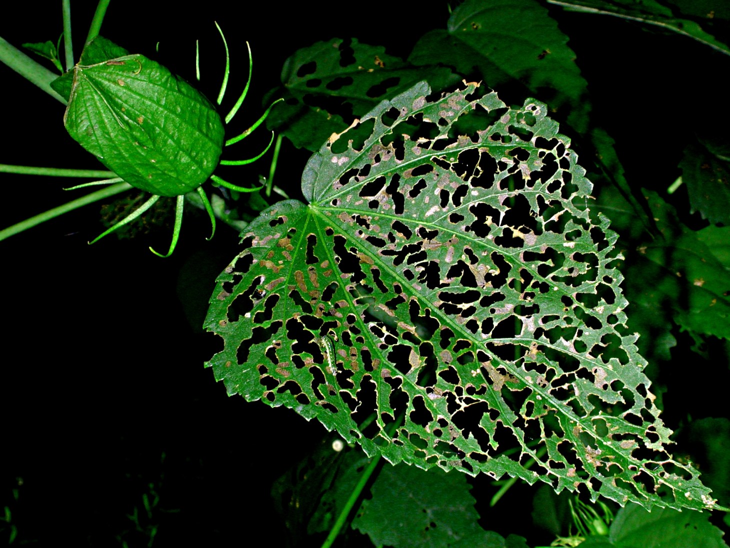 Crime Scene. Photo by Thomas Peace 2014