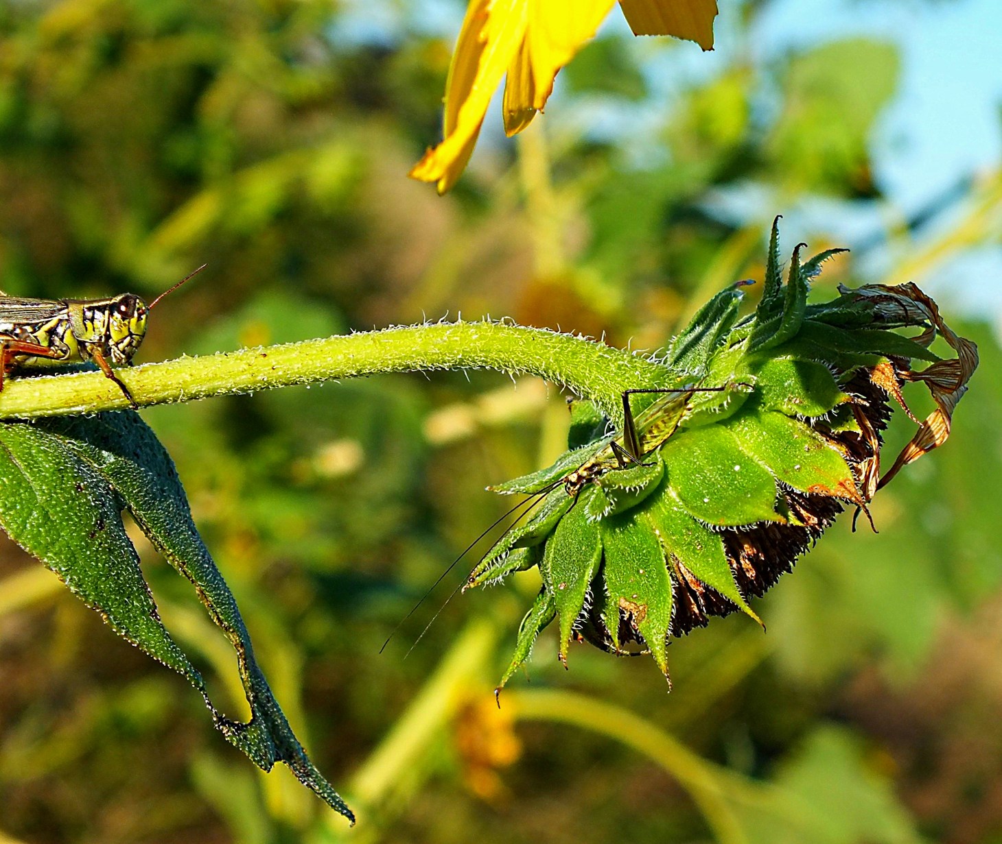 The Meeting. Photo by Thomas Peace 2014