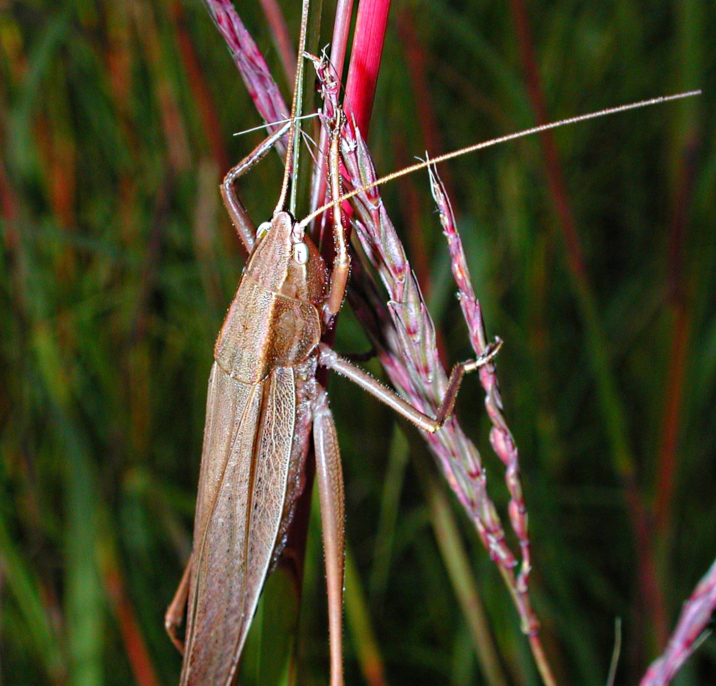 Katy did it!  Photo by Thomas Peace 2014