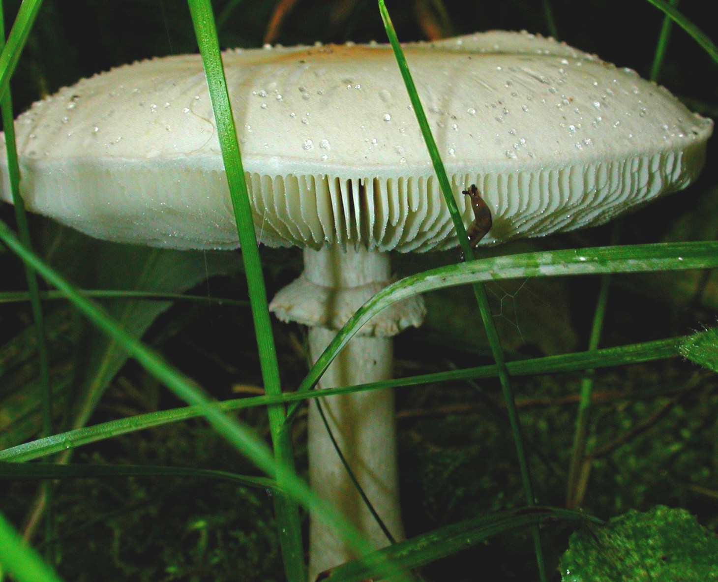 Slow but successful! Photo by Thomas Peace 2014