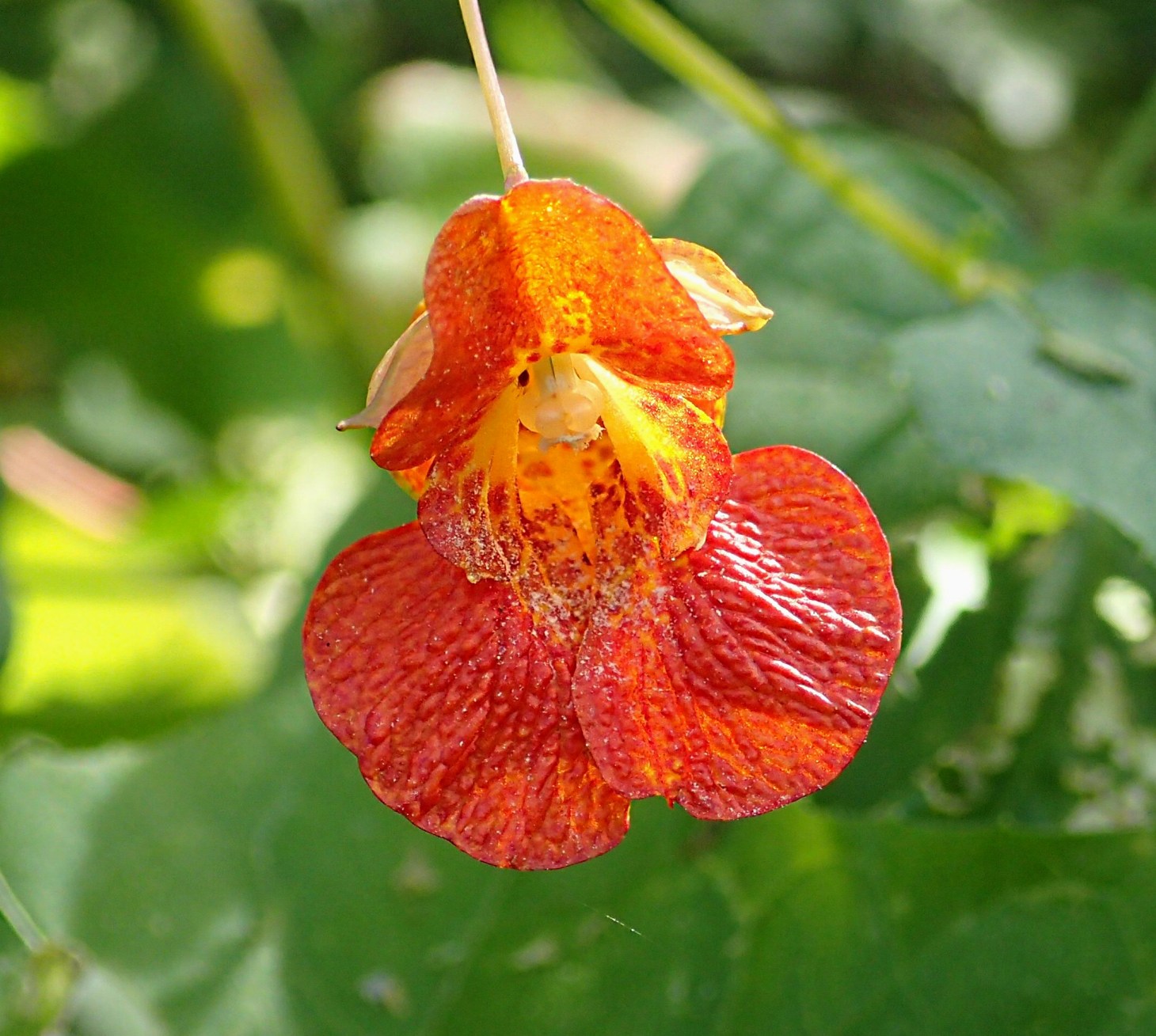 Love is the key. Photo by Thomas Peace 2014