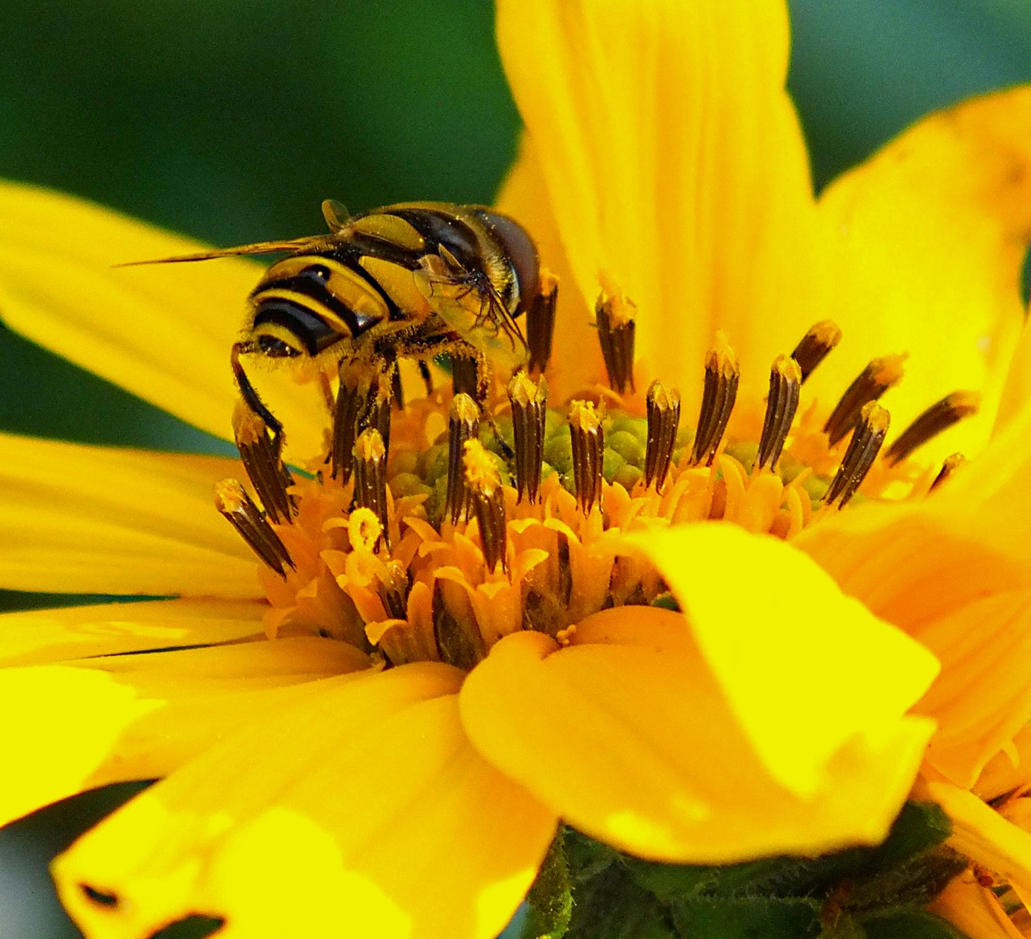 Psychologically, the perceiver and the perceived are one.  Photo by Thomas Peace 2014