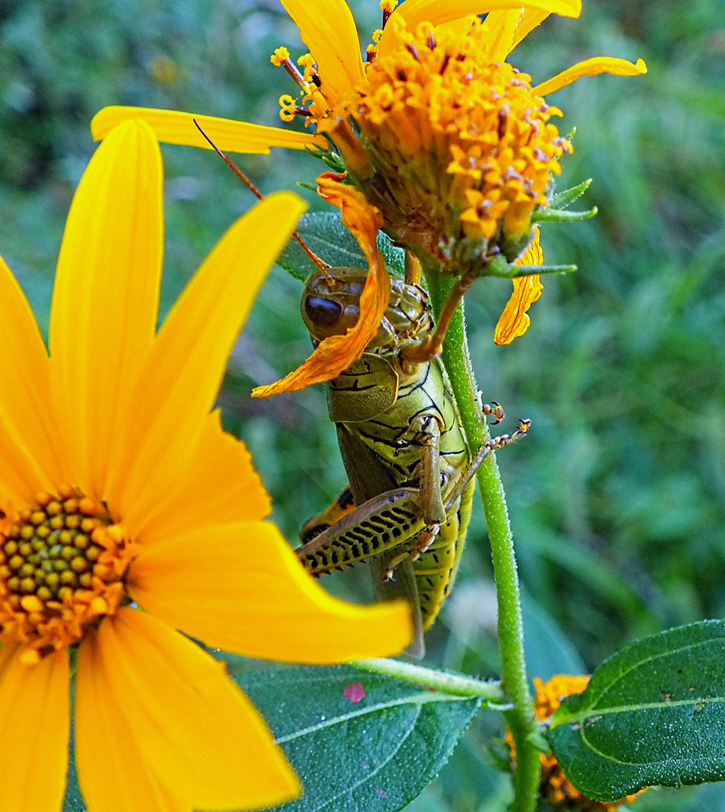 At the scene of the crime.  Photo by Thomas Peace 2014