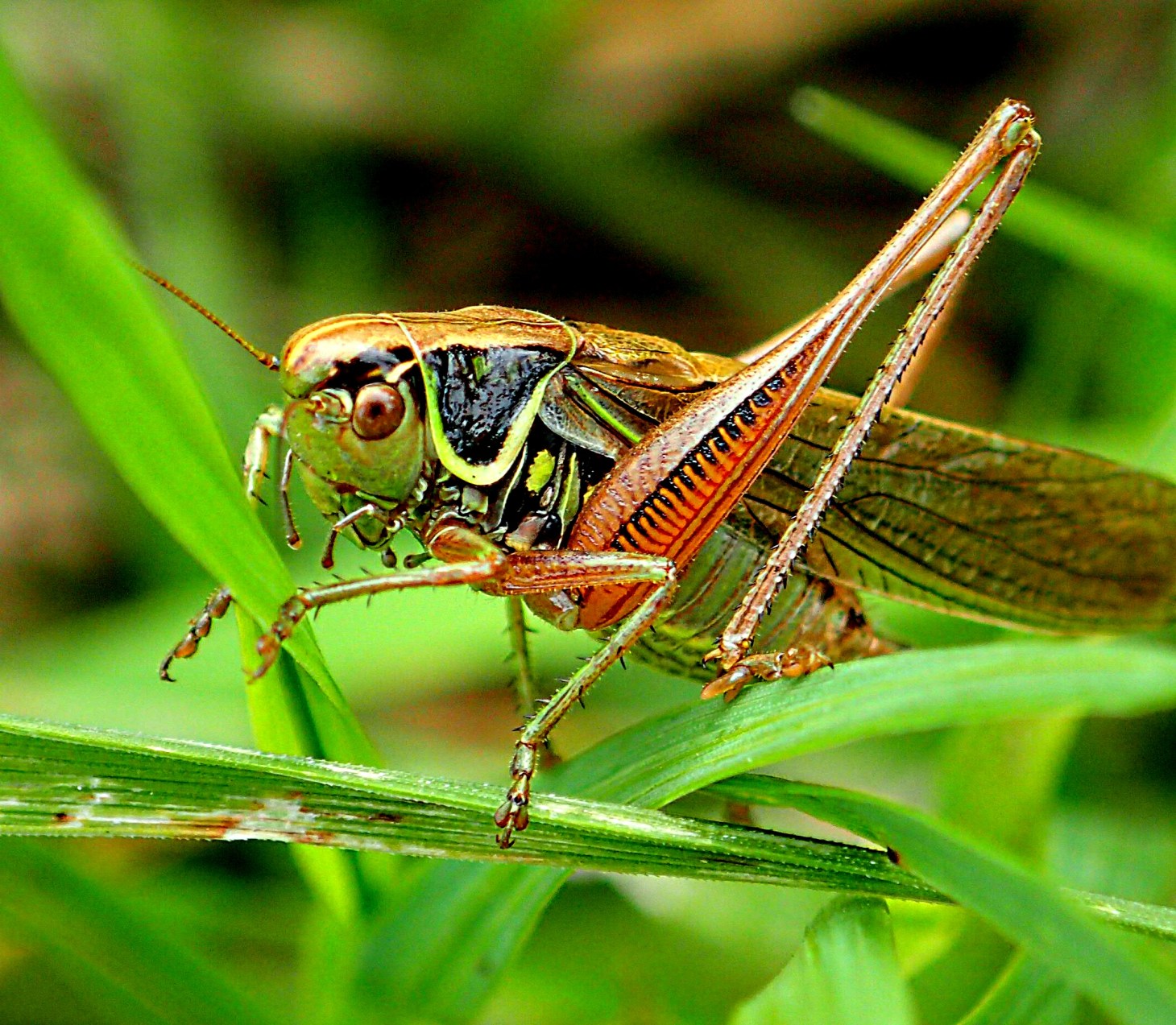 Together in nature.  Photo by Thomas Peace 2014
