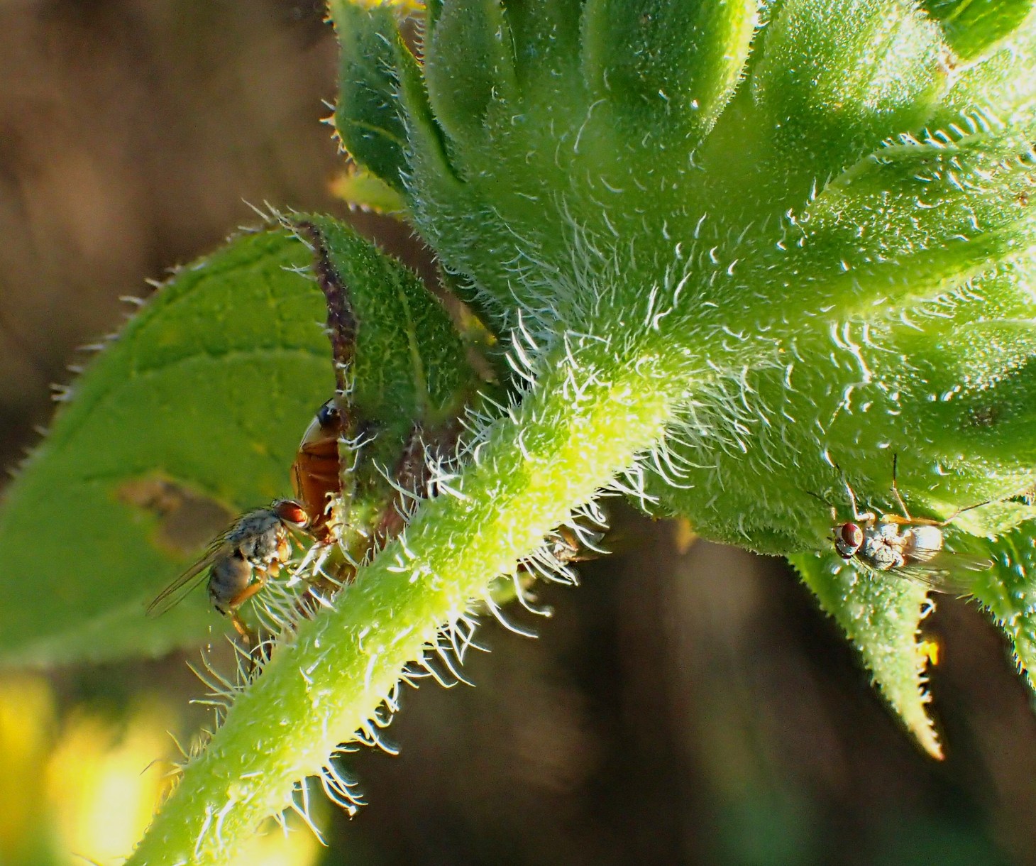 A good day to explore.  Photo by Thomas Peace 2014