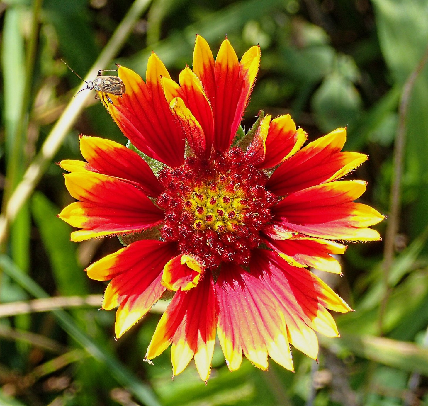 At the edge of one's habitat.  Photo by Thomas Peace 2014