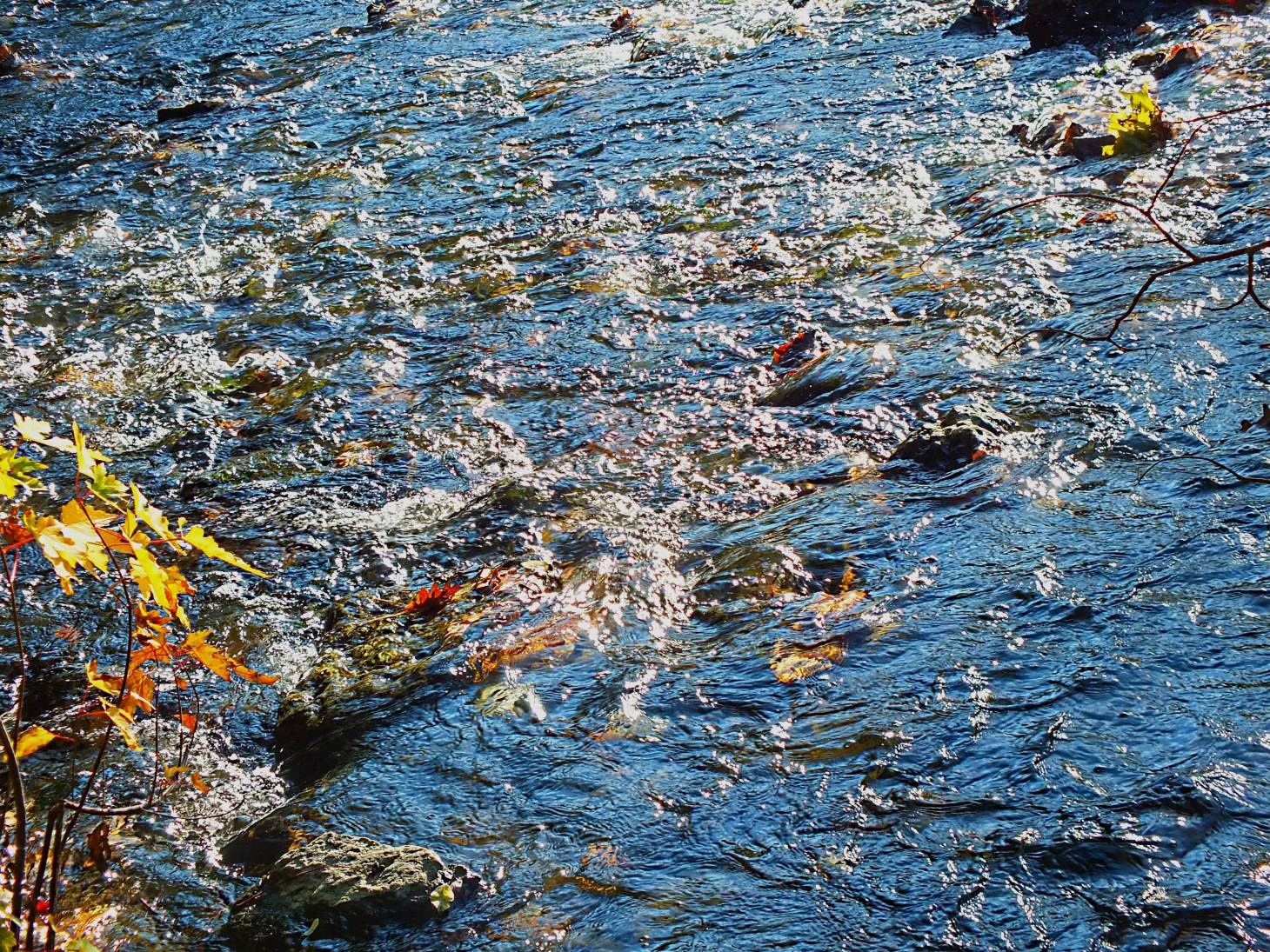 River Flow (2) Photo by Thomas Peace 2014