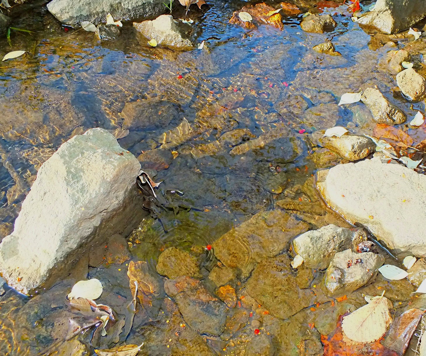 Always and never (2) Photo by Thomas Peace 2014