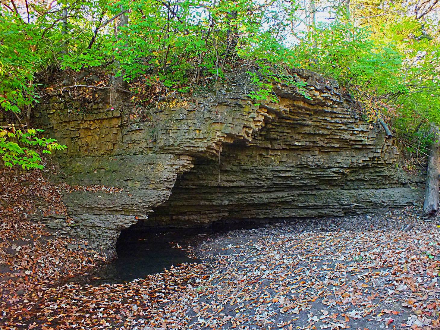 Natural beauty!  Photo by Thomas Peace 2014