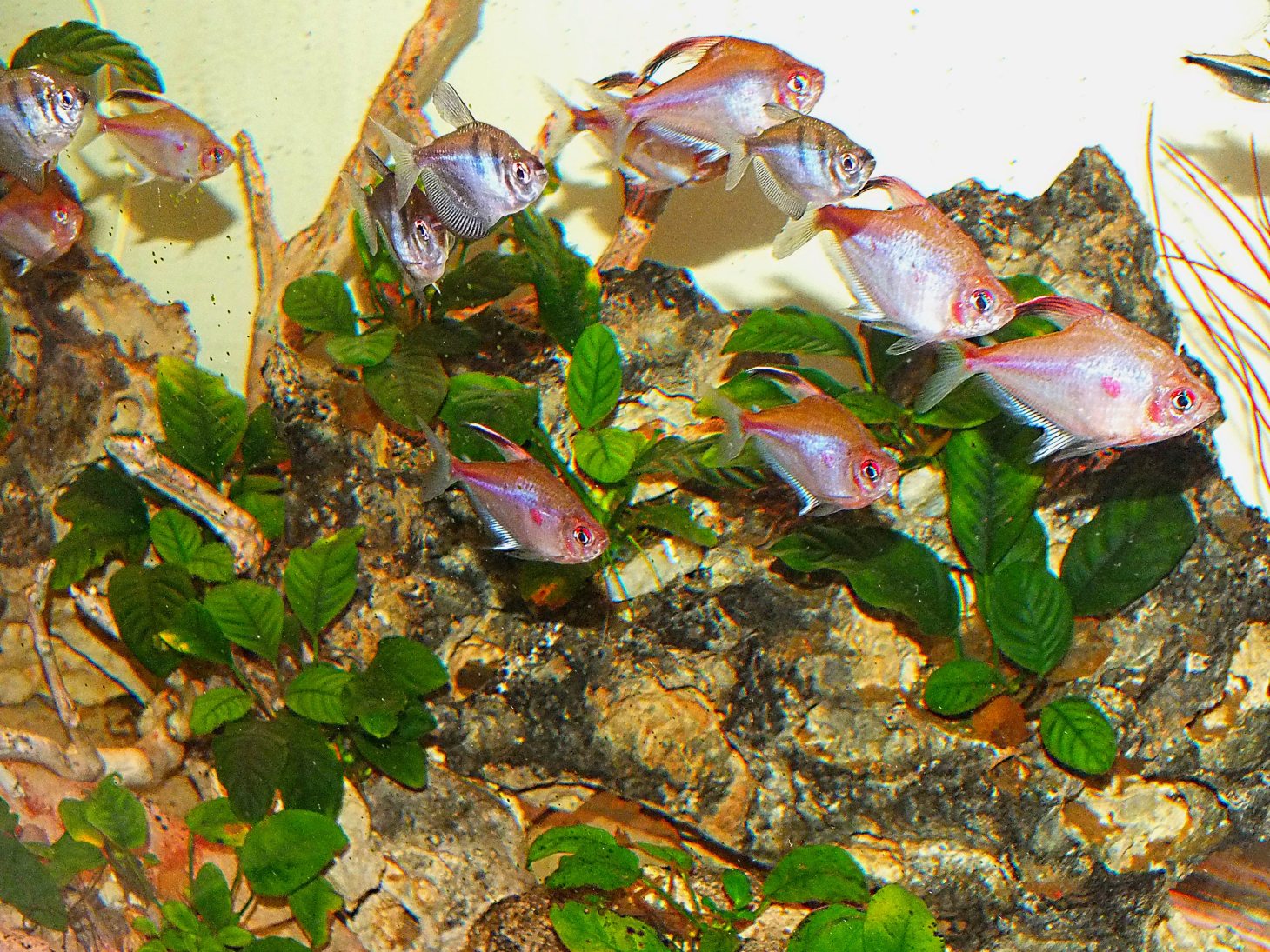 One direction.  Photo by Thomas Peace 2014