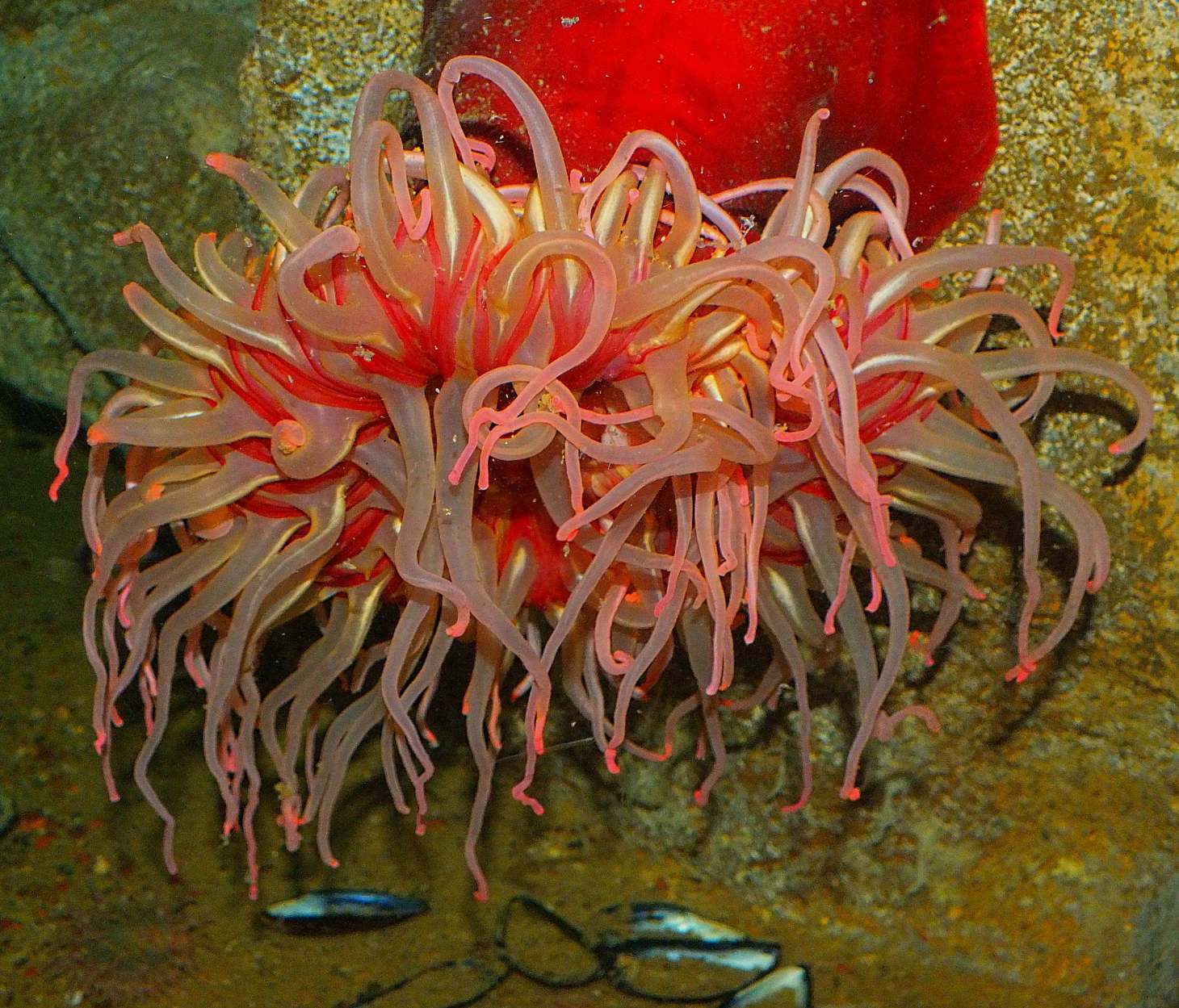 Let's hug!  Photo by Thomas Peace 2014