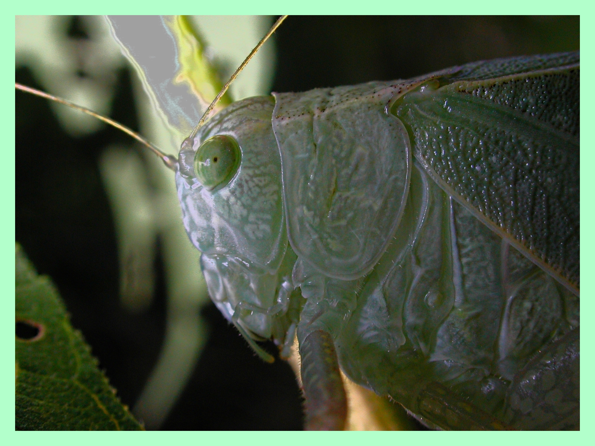 Profile of a nature lover (1). Photo by Thomas Peace 2015