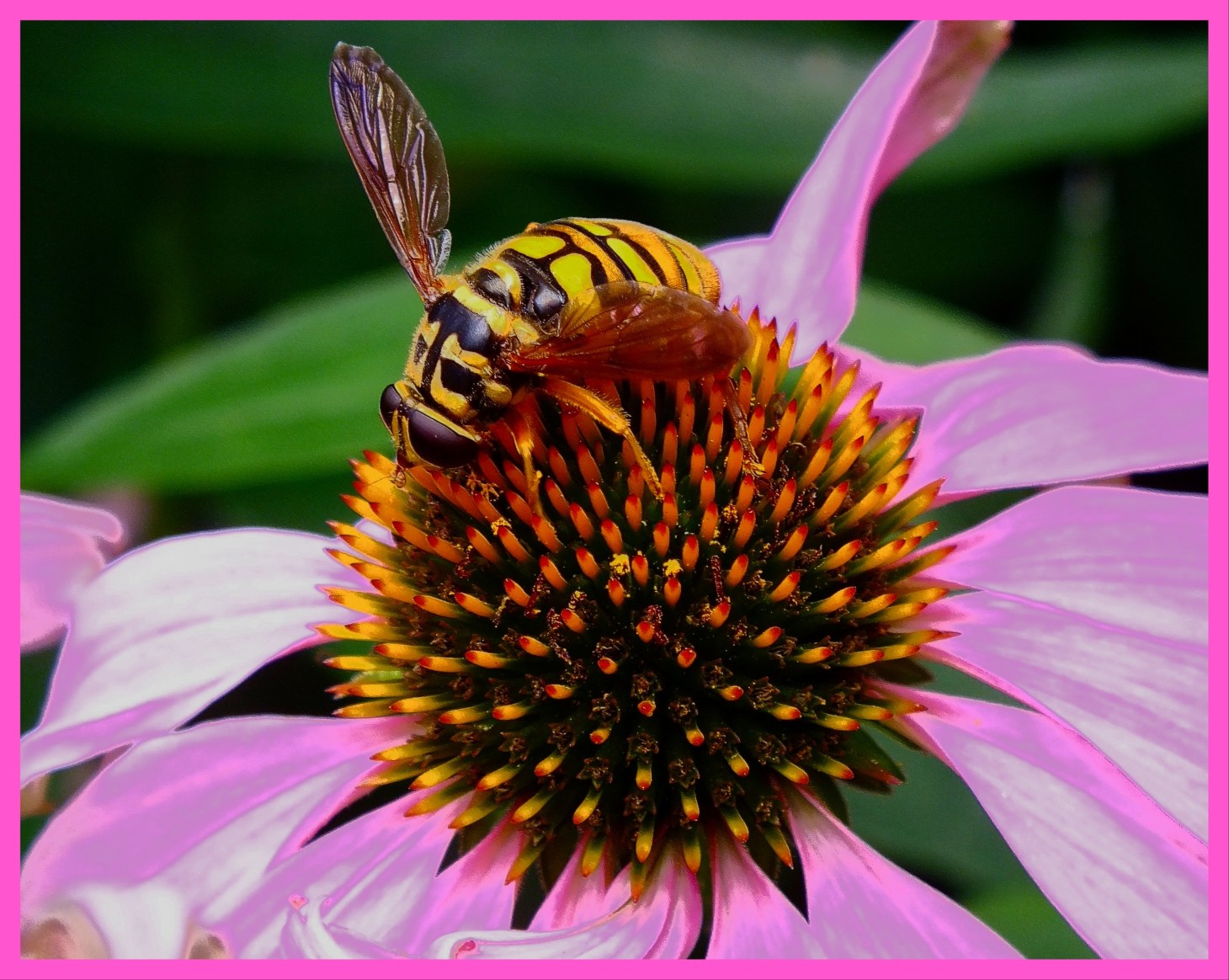 Together forever.  Photo by Thomas Peace 2015