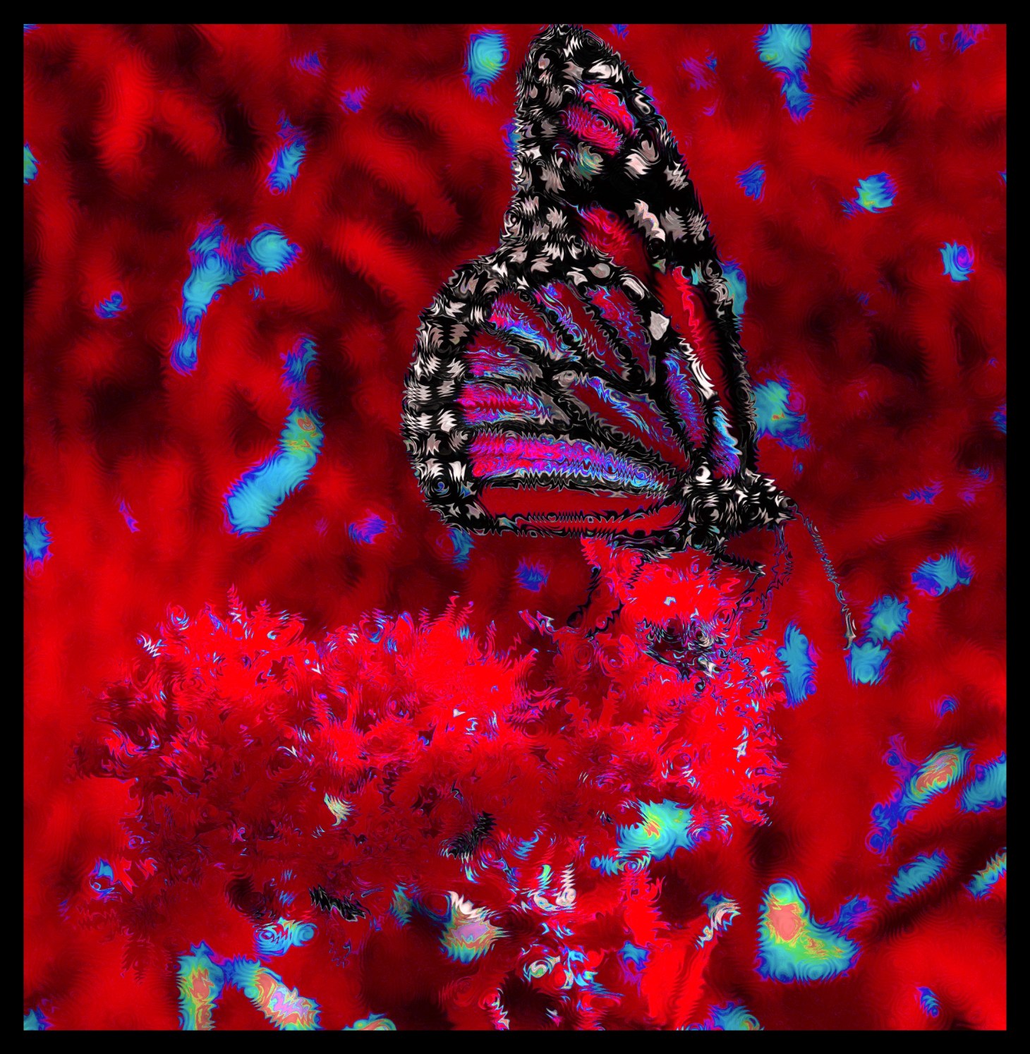 Metamorphosis (2).  Photo by Thomas Peace 2015