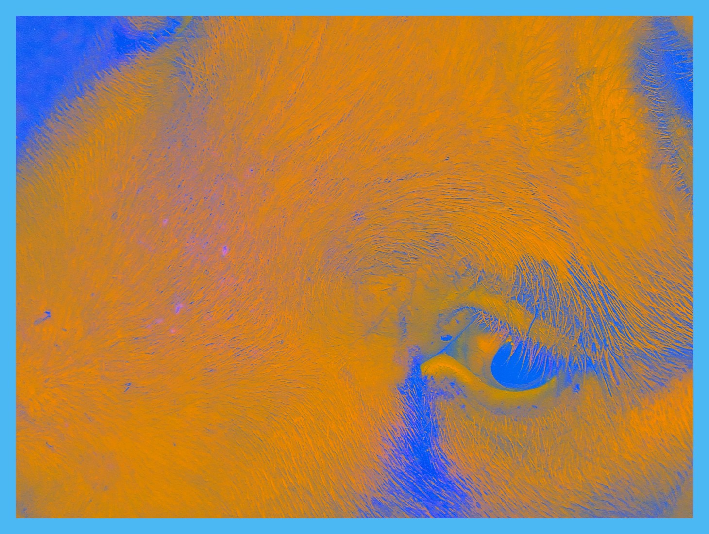 The Golden Rule. (1) Photo by Thomas Peace c. 2015