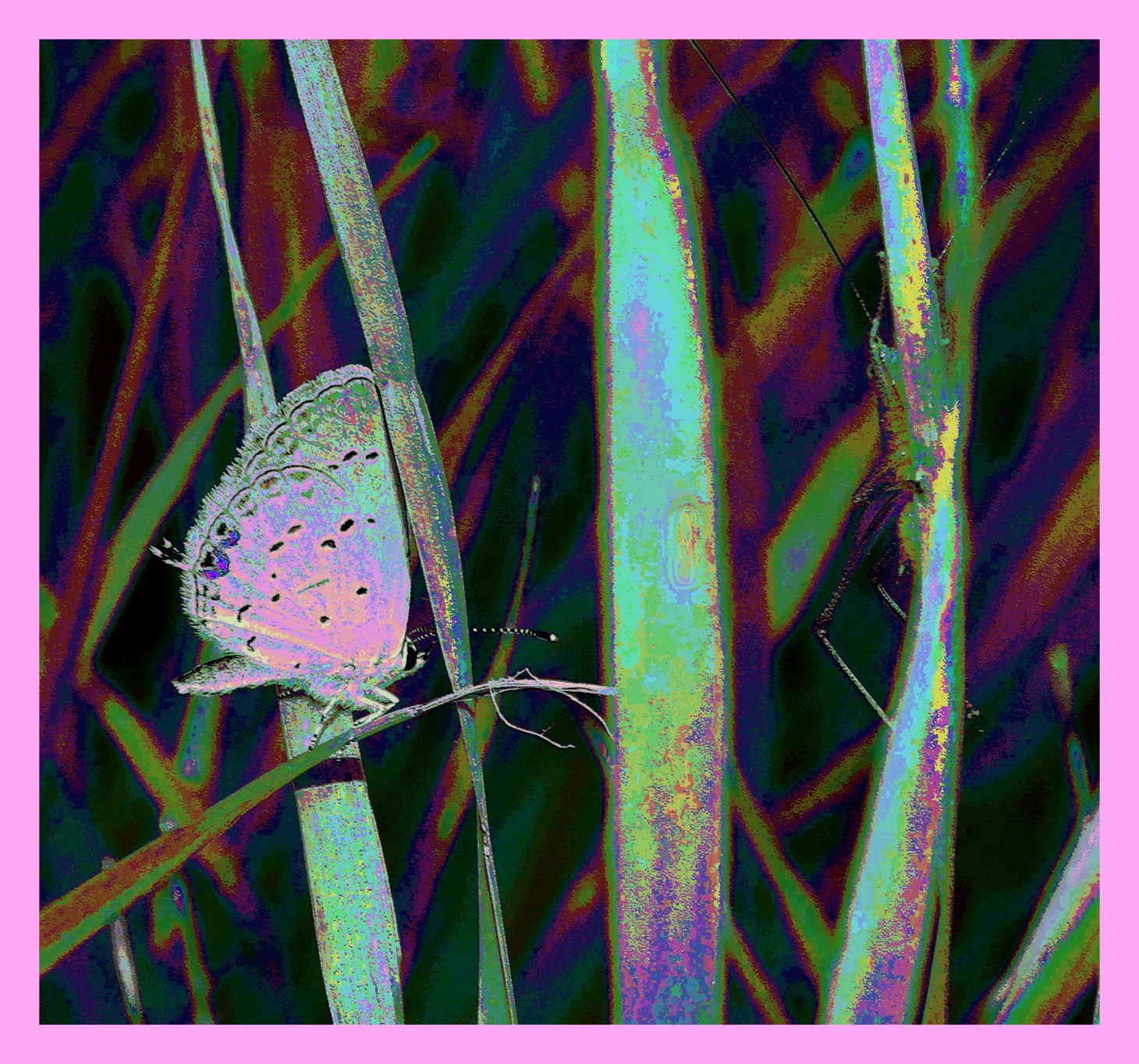 Together. (2) Photo by Thomas Peace c. 2015