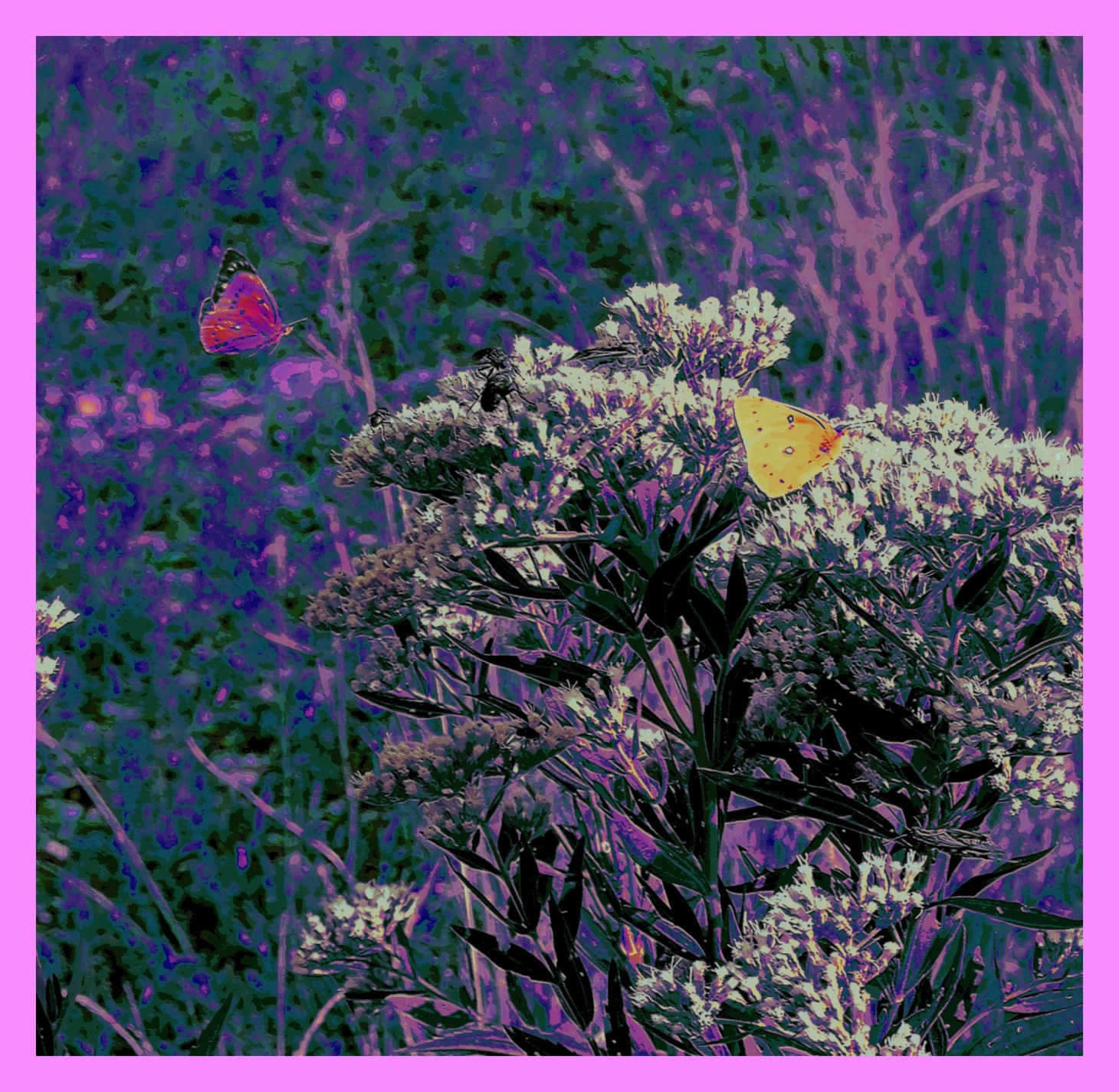 Flight number 492. (2)  Photo by Thomas Peace c. 2015